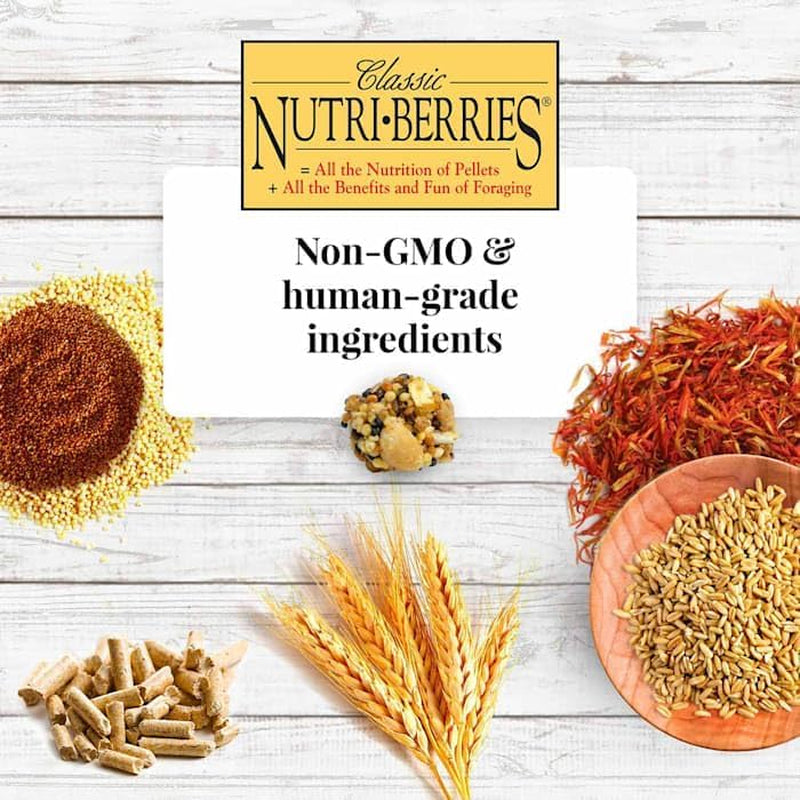 'S Classic Nutri-Berries Pet Bird Food, Made with Non-Gmo and Human-Grade Ingredients, for Parrots, 3.25 Lb