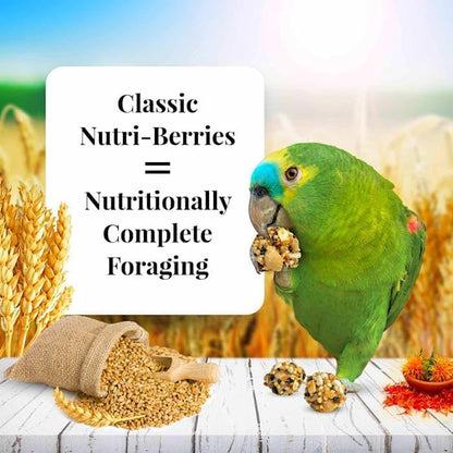 'S Classic Nutri-Berries Pet Bird Food, Made with Non-Gmo and Human-Grade Ingredients, for Parrots, 3.25 Lb